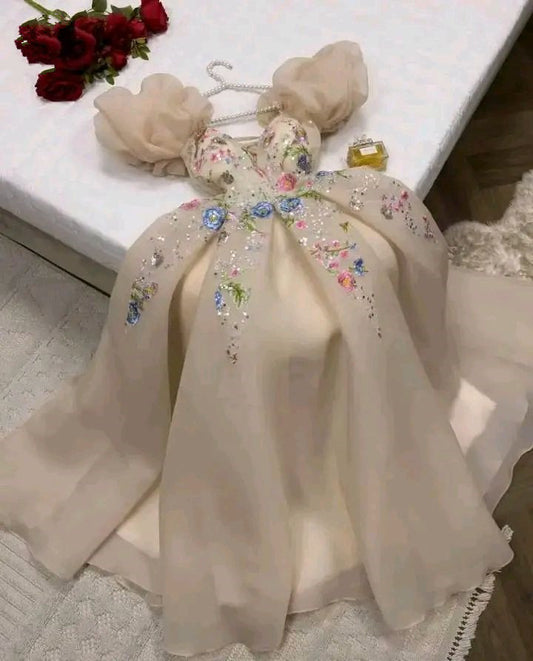 Robe de soirée longue élégante en dentelle champagne avec décolleté en cœur et appliques en forme de A C3185