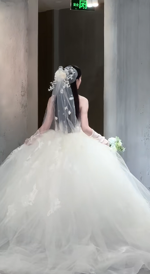 Robe de mariée longue bustier en tulle avec appliques et voile, style rêveur, C4056