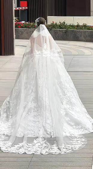 Sweet Ball Gown Strapless Tulle Lace With Sleeves Veil Long Wedding Dresses C4234