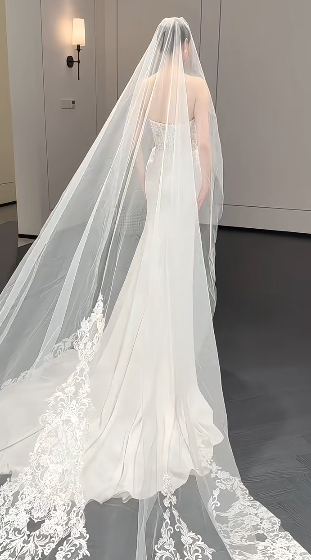 Elegant Mermaid Starpless Satin Lace With Veil Long Wedding Dresses C4239