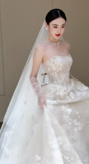 Robe de mariée longue en tulle et dentelle, bustier et voile, style rêveur, C4334