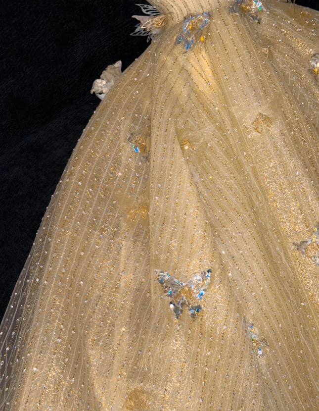 Princess A Line Strapless Tulle Sequin Beaded Without Sleeves Long Prom Dress, Evening Dress C6505