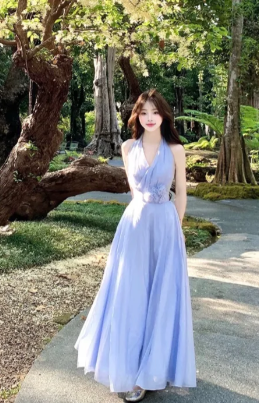 Elegant A Line Halter Chiffon Long Prom Dress, Evening Dress C7003