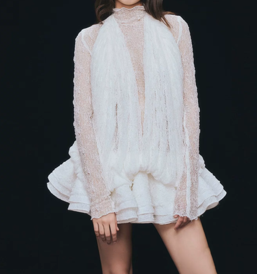 Chic Long Sleeve Homecoming Dress Lace A-Line Party Dress C9397