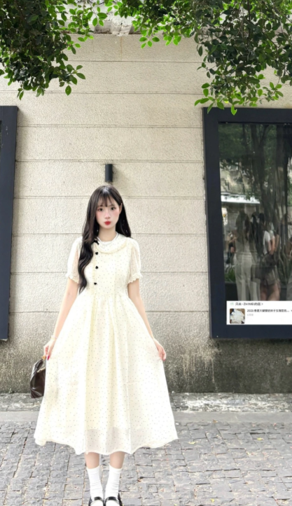 New Pretty French-style Elegant Summer Women's Long Dress C7606