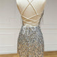 V Neck Lace-Up Sequins Tight Homecoming Dress with Tassels C1193
