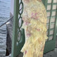 Elegant Mermaid Spaghetti Straps Yellow Chiffon Long Lace Prom Dresses Evening Dress C3015