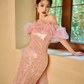 Unique Elegant Mermaid Off The Shoulder Pink Tulle Sequin Long Prom Dresses C3970