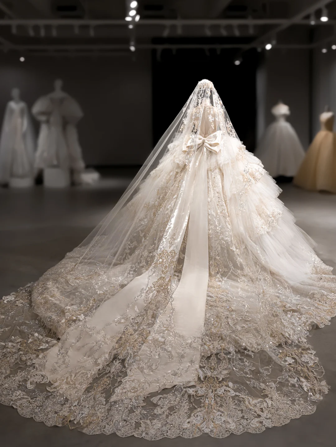 Robe de mariée luxueuse en tulle, dentelle, paillettes, perles, manches longues, avec voile, C4102