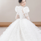Robe de mariée longue en tulle et dentelle, intemporelle, manches longues et voile, C4197