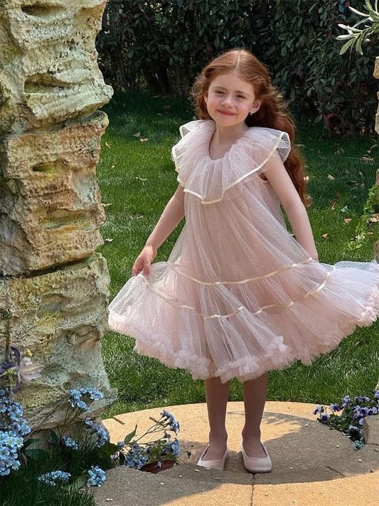 Princess A Line Tulle Flower Girl Dress C6030
