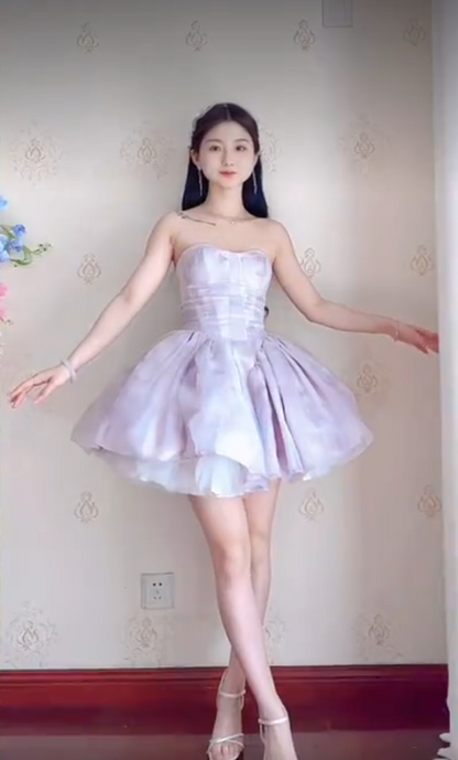 Classical Light Purple Homecoming Dress Detachable Straps A-Line Birthday Dress C8218