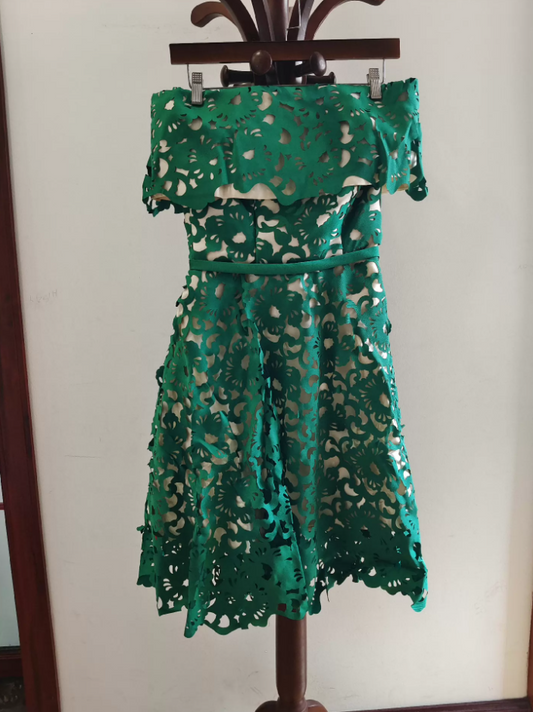 Vintage Off-Shoulder Green Homecoming Dress Appliques A-Line Birthday Dress C8374