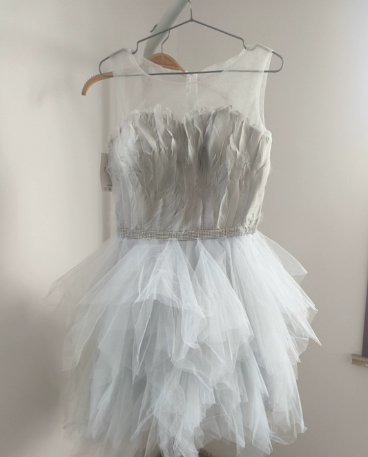 Elegant Illusion Neck Grey Homecoming Dress Feather Beading A-Line Tulle Birthday Dress C8397