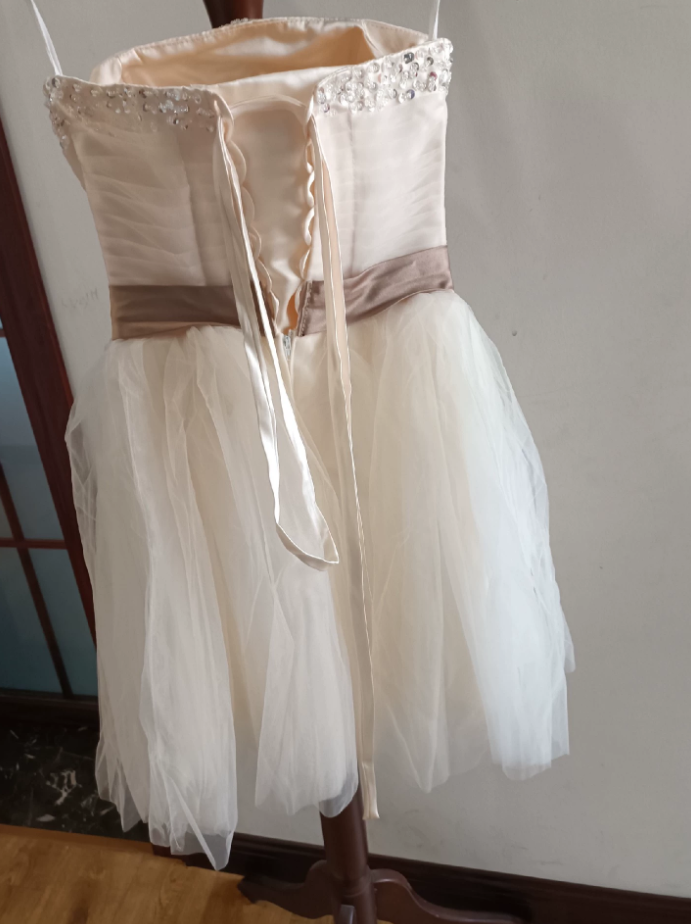 Charming Strapless Pastel Champagne Homecoming Dress Sequins Tulle Birthday Dress C8403