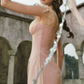 Ethereal V Neck Pink Prom Dress Appliques Tulle A-Line Formal Dress C8433
