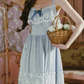 Classical Lace Blue Prom Dress Spaghetti Straps A-Line Evening Dress C8489