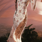 Robe de bal de princesse bustier à volants en satin long, robe de soirée C8117