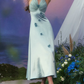 Chic Halter Neck Blue Prom Dress Satin Appliques A-Line Evening Dress C8656