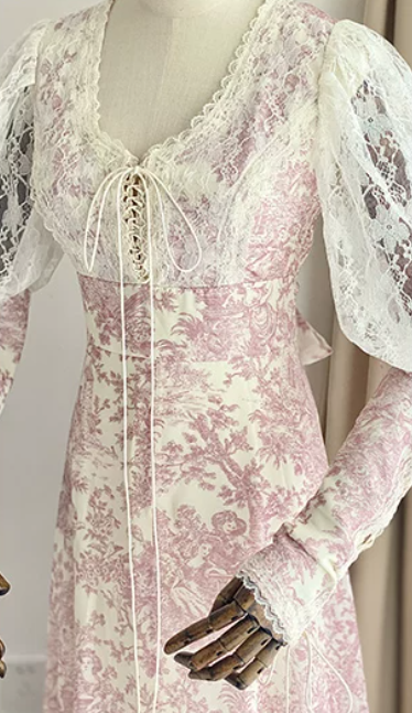 Romantic Long Sleeve Pink Prom Dress Lace Floral A-Line Evening Dress C8765