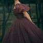 Vintage Short Sleeve Brown Prom Dress Polka Dots Tulle A-Line Evening Dress C9013