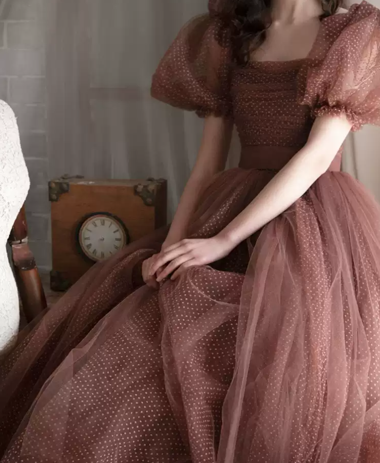 Vintage Short Sleeve Brown Prom Dress Polka Dots Tulle A-Line Evening Dress C9013