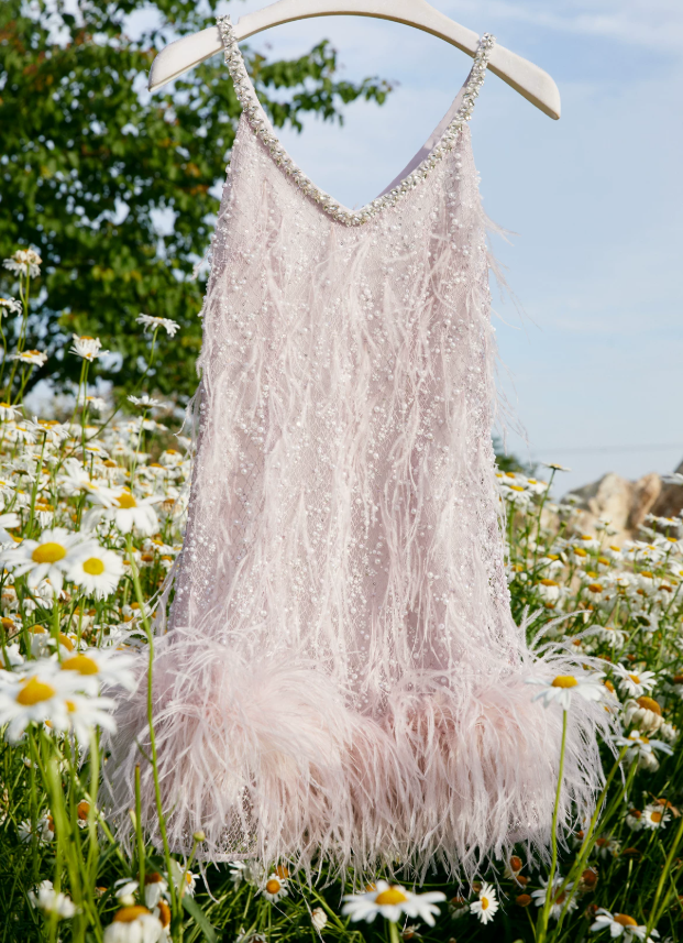 Playful Spaghetti Straps Pink Homecoming Dress Feather Beaded Sheath Party Dress C9068