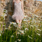 Playful Spaghetti Straps Pink Homecoming Dress Feather Beaded Sheath Party Dress C9068