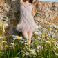 Playful Spaghetti Straps Pink Homecoming Dress Feather Beaded Sheath Party Dress C9068