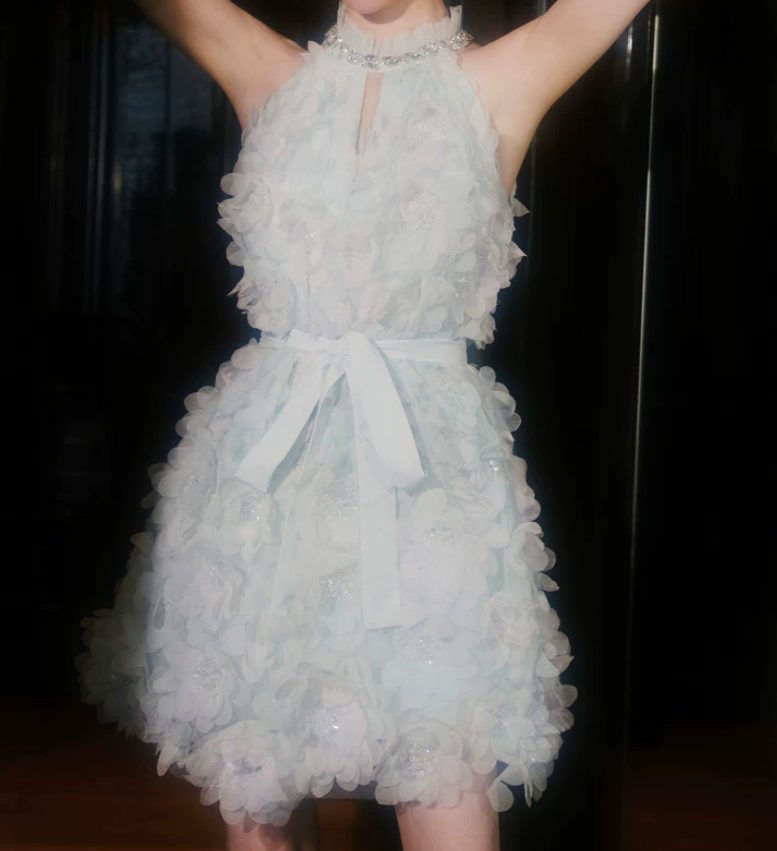 Trendy Halter Neck Appliques Homecoming Dress Sequins A-Line Party Dress C9168