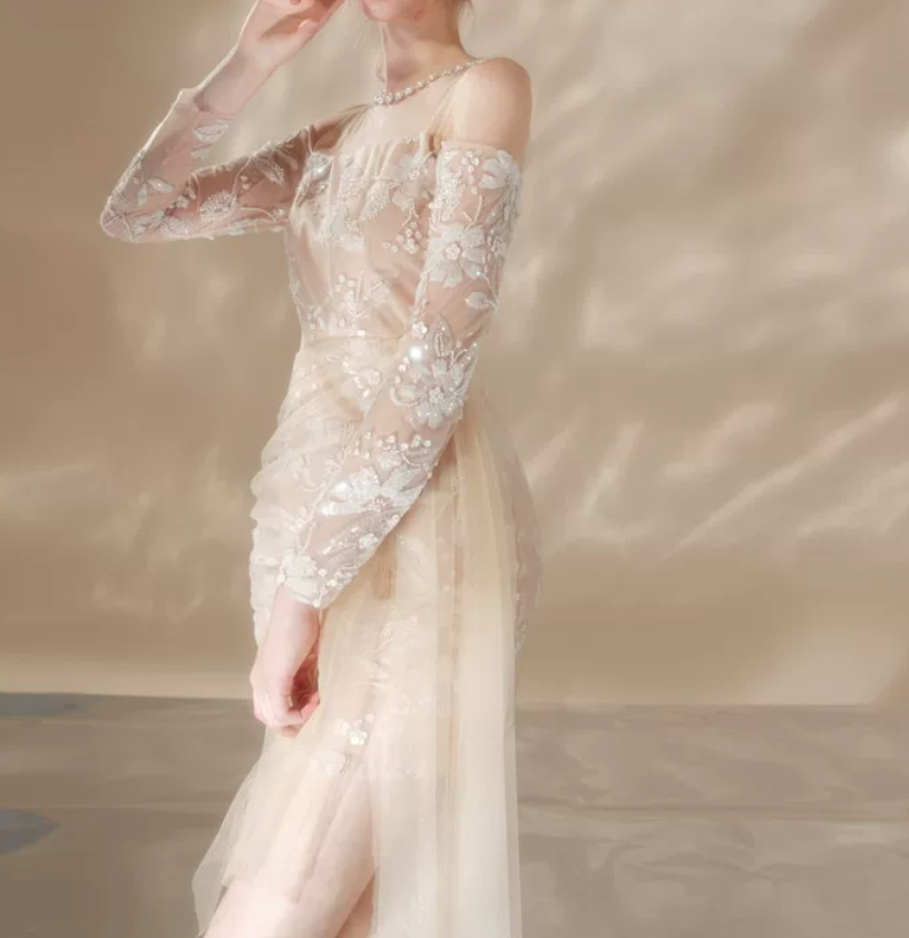 Vintage Illusion Neck Beige Homecoming Dress Long Sleeve Appliques Bodycon Party Dress C9178