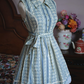 Playful Lapel Collar Blue Homecoming Dress Floral Bow A-Line Party Dress C9212
