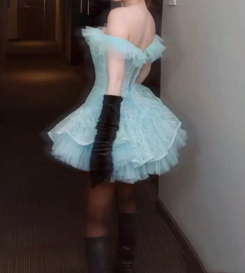 Sweet Off-Shoulder Homecoming Dress Lace Tulle A-Line Party Dress C9410