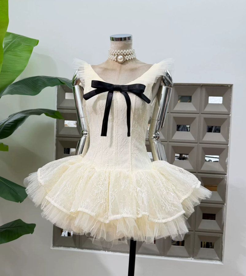 Sweet Off-Shoulder Homecoming Dress Lace Tulle A-Line Party Dress C9410