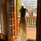 Mini robe de soirée en satin, sans bretelles, sans manches, ligne a, simple, C899