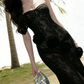 Glam Strapless Black Prom Dress Lace Floral Mermaid Evening Dress C9607