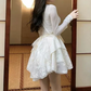 Graceful Long Sleeve A-Line Mini Dress White Lace Short Dress C9689