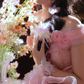Graceful Off-Shoulder Prom Dress Pink Appliques Lace A-Line Evening Dress C9946