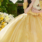 Cute Off-Shoulder Prom Dress Yellow Lace Tulle A-Line Evening Dress C9952