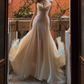 Gorgeous Spaghetti Straps Prom Dress Ivory Appliques A-Line Evening Dress D0162