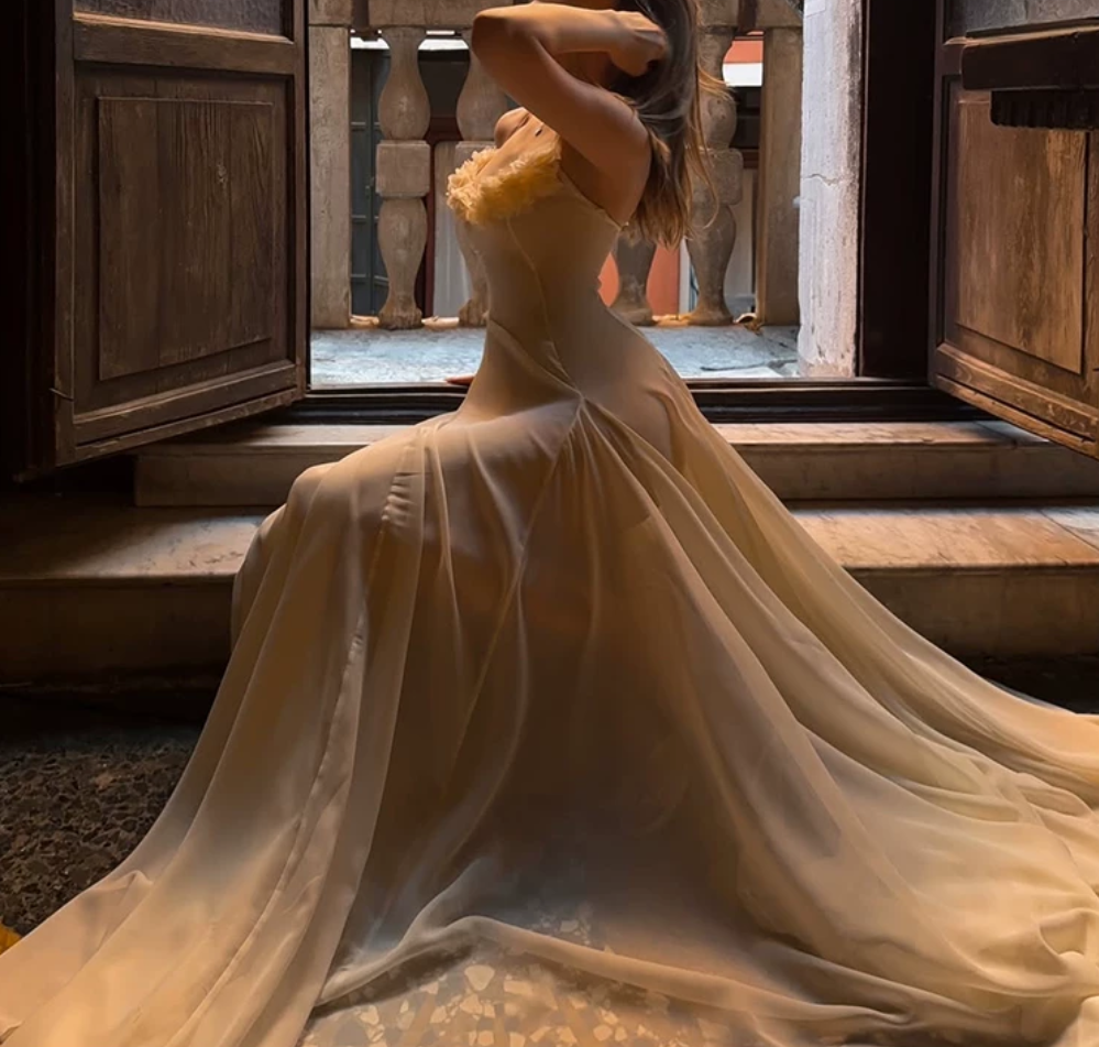 Gorgeous Spaghetti Straps Prom Dress Ivory Appliques A-Line Evening Dress D0162