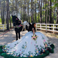 Superbe robe de bal chérie Tulle bordeaux doux 16 robes B051