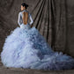 Vintage High Collar Backless Ball Gown Lace Long Sleeve Quinceanera Dresses Ruffles Tulle Sweet 16 Dresses D0684