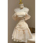 Cute A line Chiffon Straps Homecoming Dress with Ruched Bodice C1038